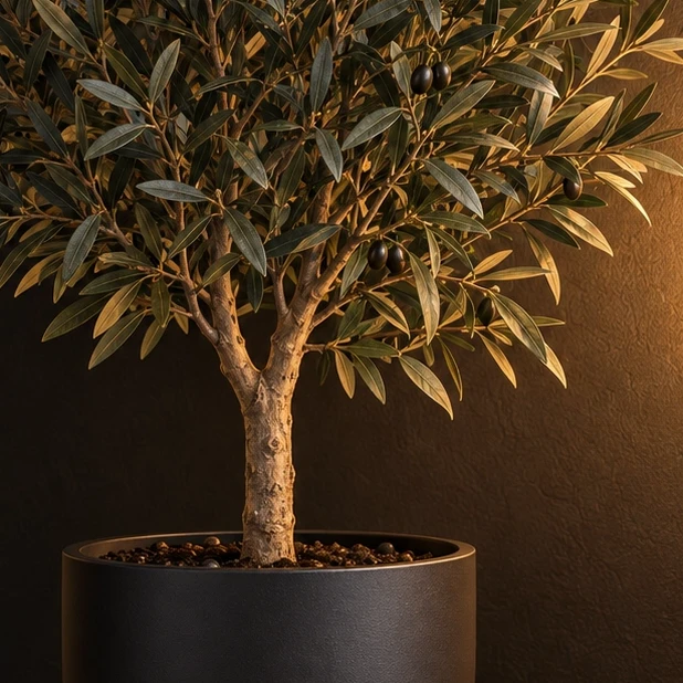 Leaf · Olivo artificial en el setup